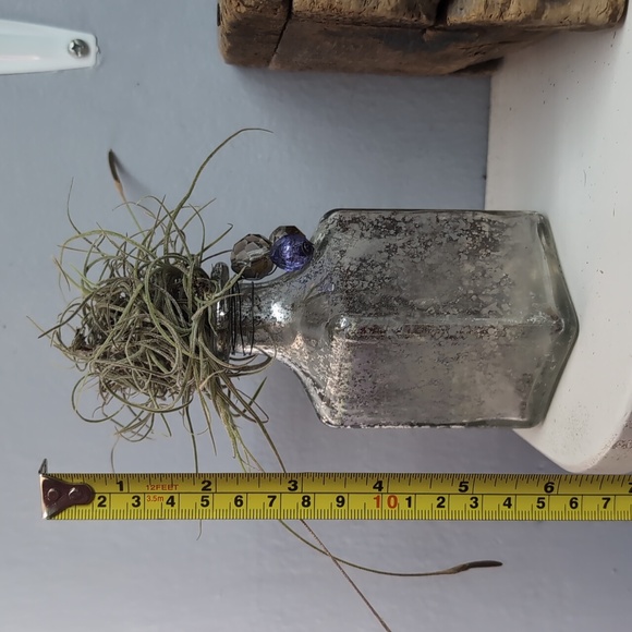 Air Plant Display - Picture 3 of 4